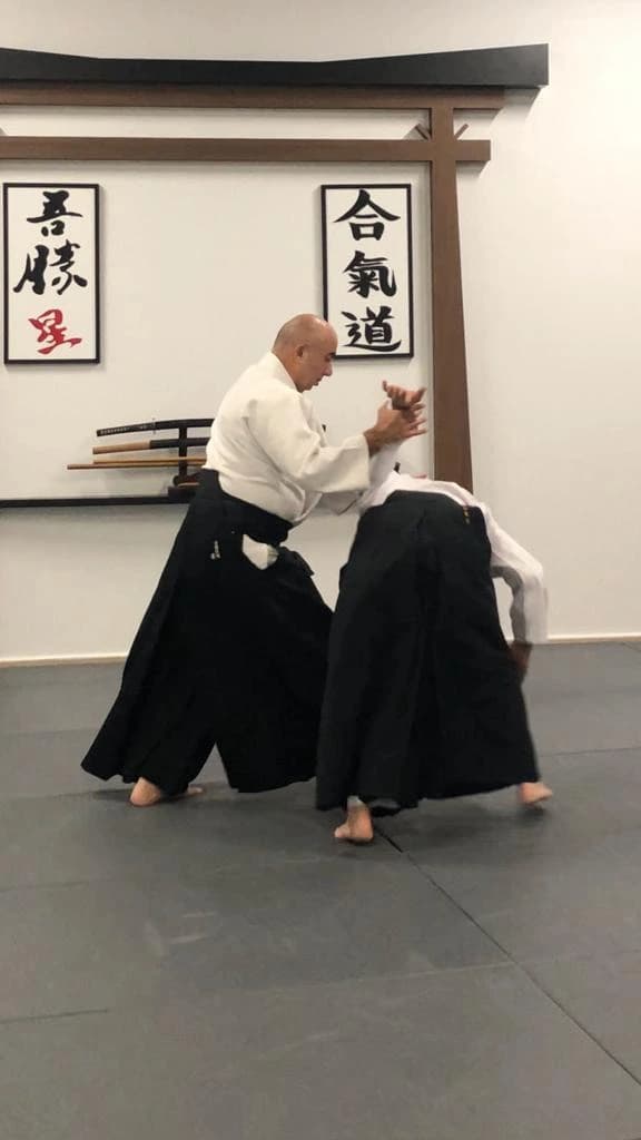 Cevdet Yıldız Sensei ile Aikido antrenmanı